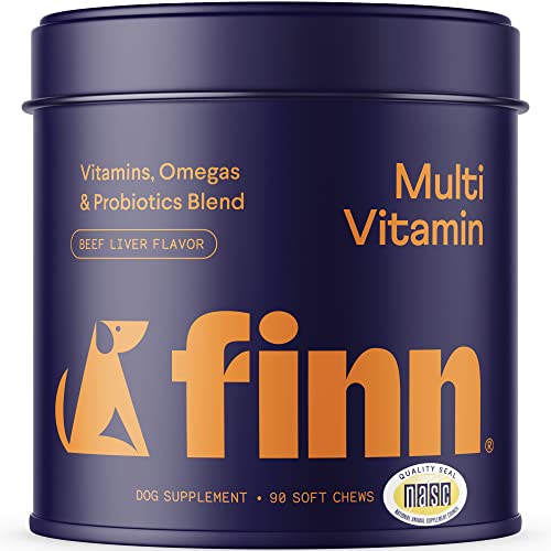 Finn All-in-1 Multivitamin Review: What to Check Before Buying featured image