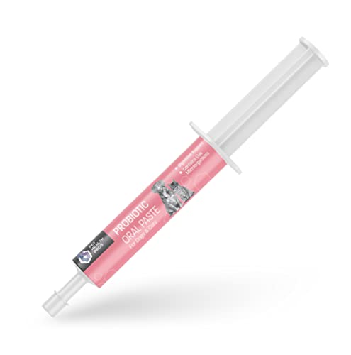 Pet Health Pros Probiotic Oral Paste Review: What to Check Before Buying featured image