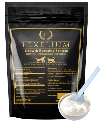 Lexelium Dog Appetite Supplement Similar Picks: What to Compare Before Buying featured image