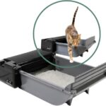 Self-Cleaning Litter Boxes: Similar Products and Buying Checks featured image