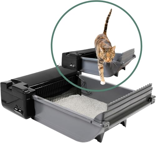 Self-Cleaning Litter Boxes: Similar Products and Buying Checks featured image